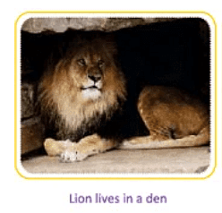 Animals- Food and Shelter Class 1 Notes EVS