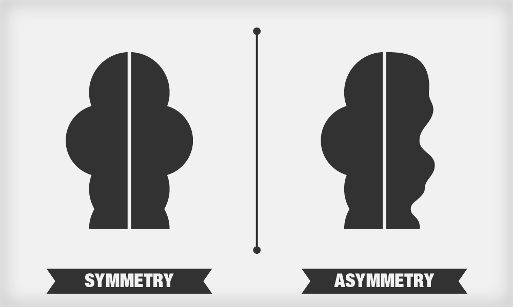 Sensory, Attentional & Perceptual Processes Class 11 Psychology