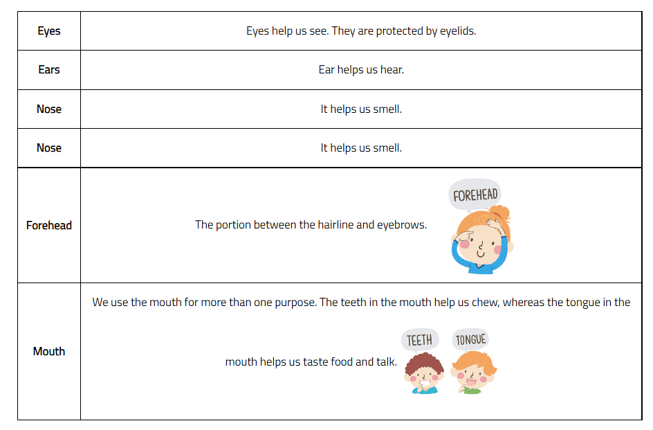 Our Body Class 1 Notes EVS