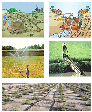 Class 8 Science Chapter 1 Question Answers - Crop Production And Management