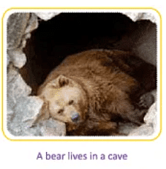 Animals- Food and Shelter Class 1 Notes EVS