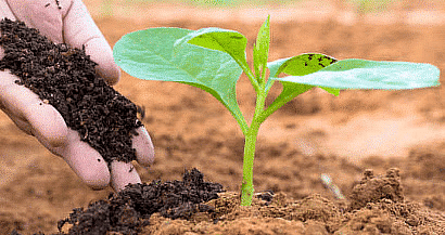 Class 8 Science - Crop Production and Management CBSE Worksheets Solutions