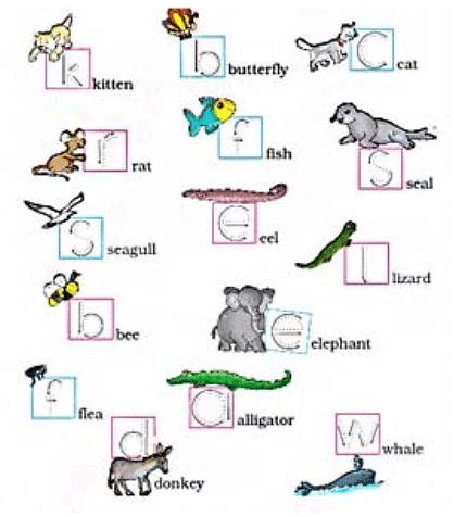 NCERT Solutions for Class 1 English Marigold Unit 3 - One Little Kitten