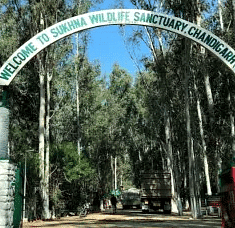 Wildlife Sanctuary Chandigarh