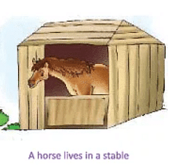 Animals- Food and Shelter Class 1 Notes EVS