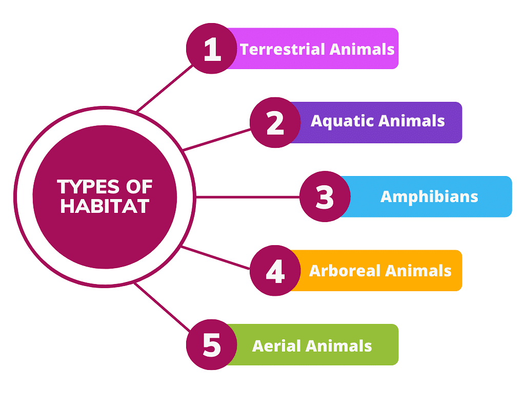 Animal Life Class 5 Notes Science
