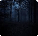 Dark