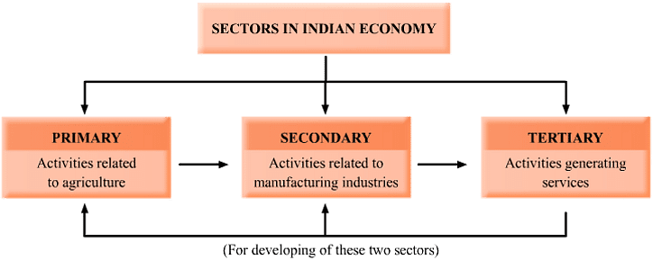 Class 8 Geography Chapter 4 Notes - Agriculture