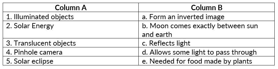 Light, Shadow and Reflections Class 6 Worksheet Science Chapter 8