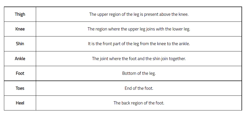 Our Body Class 1 Notes EVS
