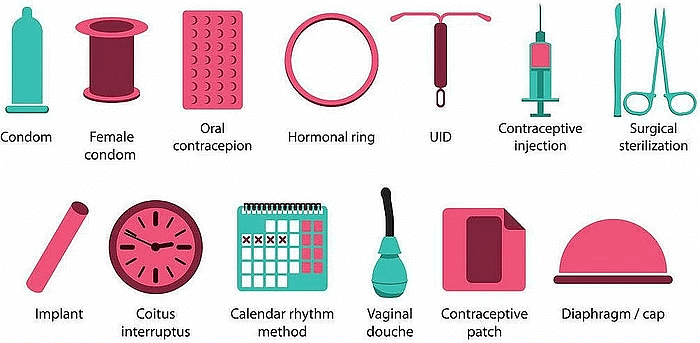 How do Organisms Reproduce Class 10 Notes Science Chapter 7
