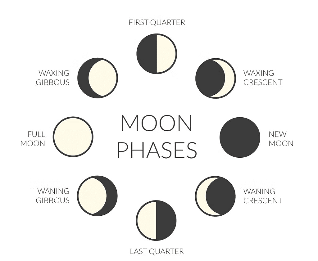 Stars and the Solar System Class 8 Notes Science
