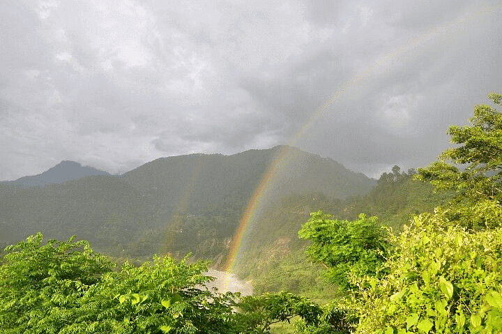 A Short Monsoon Diary Summary Class 8 English Honeydew Chapter 7