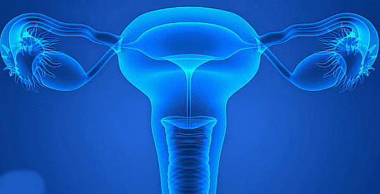 Very Short Answers - Reproduction in Animals, Science, Class 8 | Science Class 8