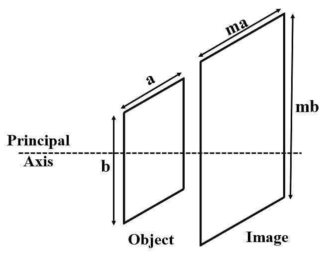 Areal Magnification