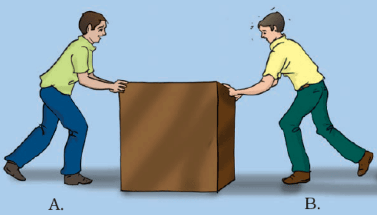 NCERT Exemplar Solutions: Force and Pressure | Science Class 8