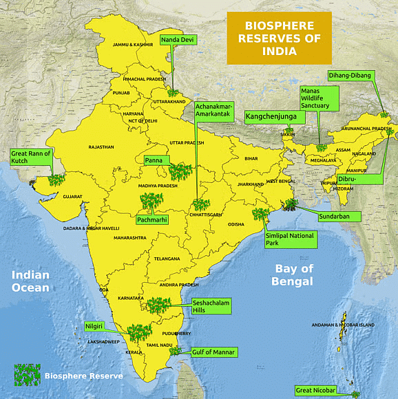 Class 9 Geography Chapter 5 Notes - Natural Vegetation and Wildlife