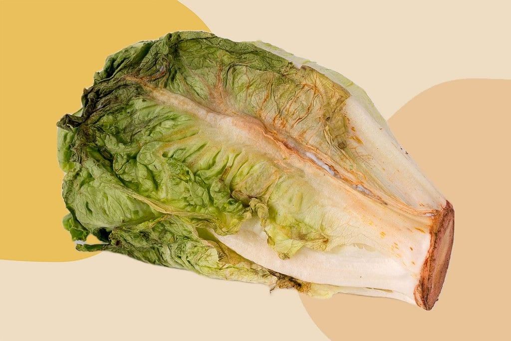 Spoilt lettuce