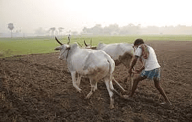 NCERT Exemplar Solutions: Crop Production & Management | Science Class 8