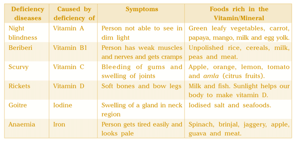 Diseases and Hygiene Class 5 Notes Science