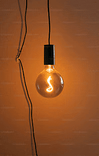 Bulb