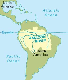 Human Environment Interactions: The Tropical & Subtropical Regions Summary Class 7 Geography Chapter 1