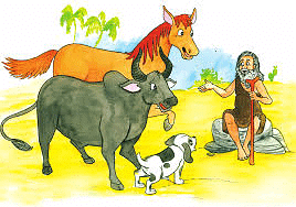 How the Camel Got his Hump Summary Class 8 English (It so Happened) Chapter 1