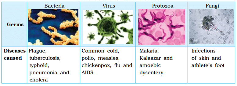 Diseases and Hygiene Class 5 Notes Science