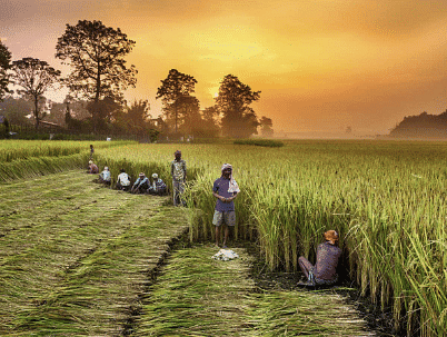 Change & Development in Rural Society Class 12 Sociology