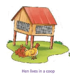 Animals- Food and Shelter Class 1 Notes EVS