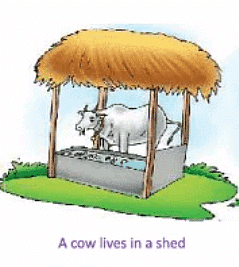 Animals- Food and Shelter Class 1 Notes EVS