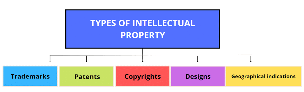Law of Property Chapter Notes | Revision Notes for CUET Commerce Preparation
