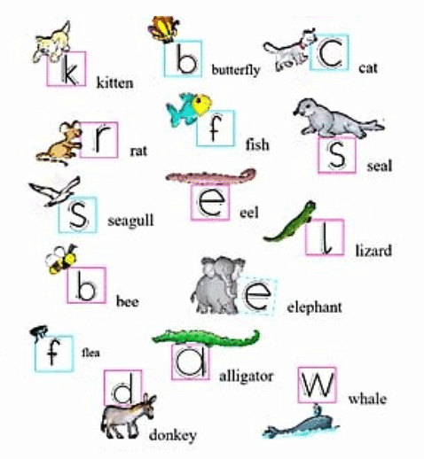 NCERT Solutions for Class 1 English Marigold Unit 3 - One Little Kitten