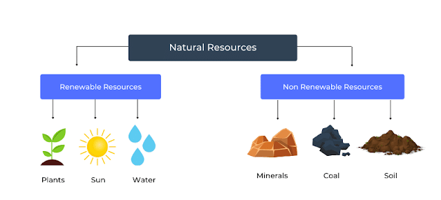 Long Question Answer: Natural Resources and Their Use | Social Science Class 8 - New NCERT
