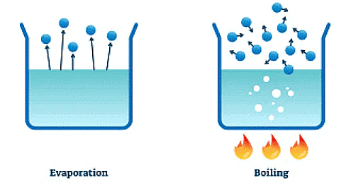 Air and Water (Part 2) Class 5 Notes Science