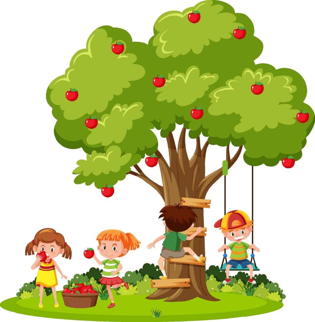 B. State True or False.