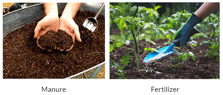Class 8 Science Chapter 1 Question Answers - Crop Production And Management