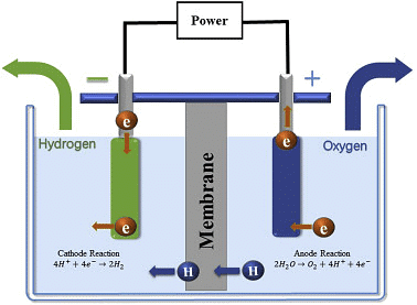 Electrolysis of Water