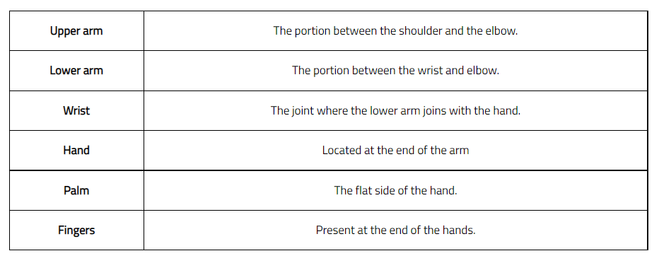 Our Body Class 1 Notes EVS