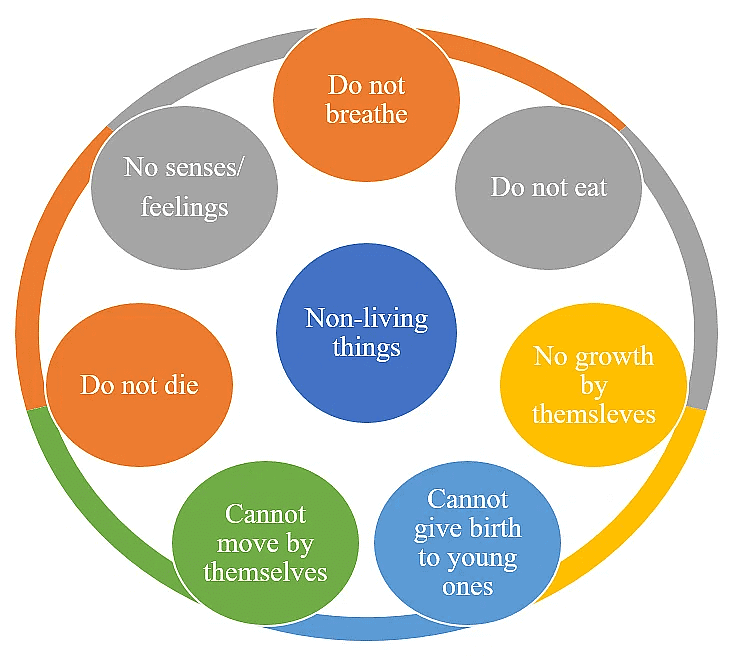 Living Things Class 5 Notes Science