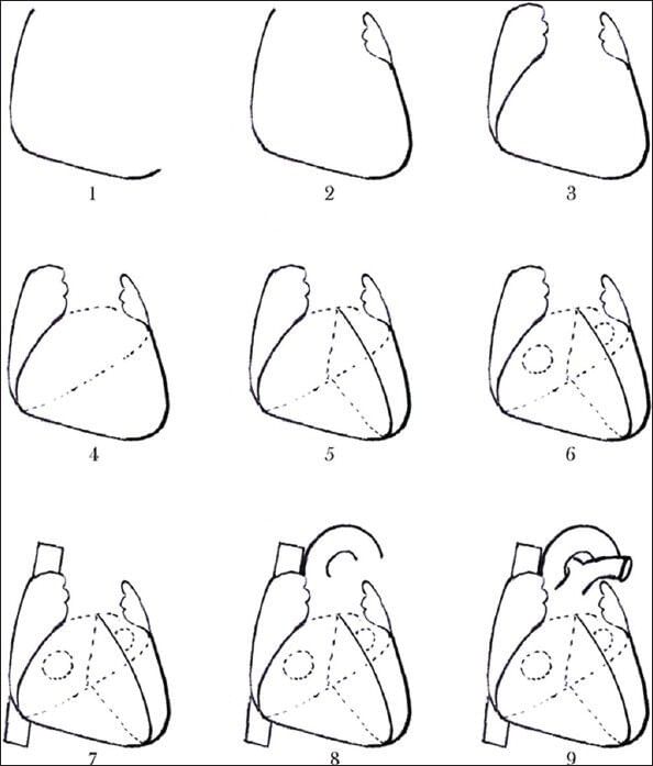 How to Draw Biology Diagrams Class 10 Easily?