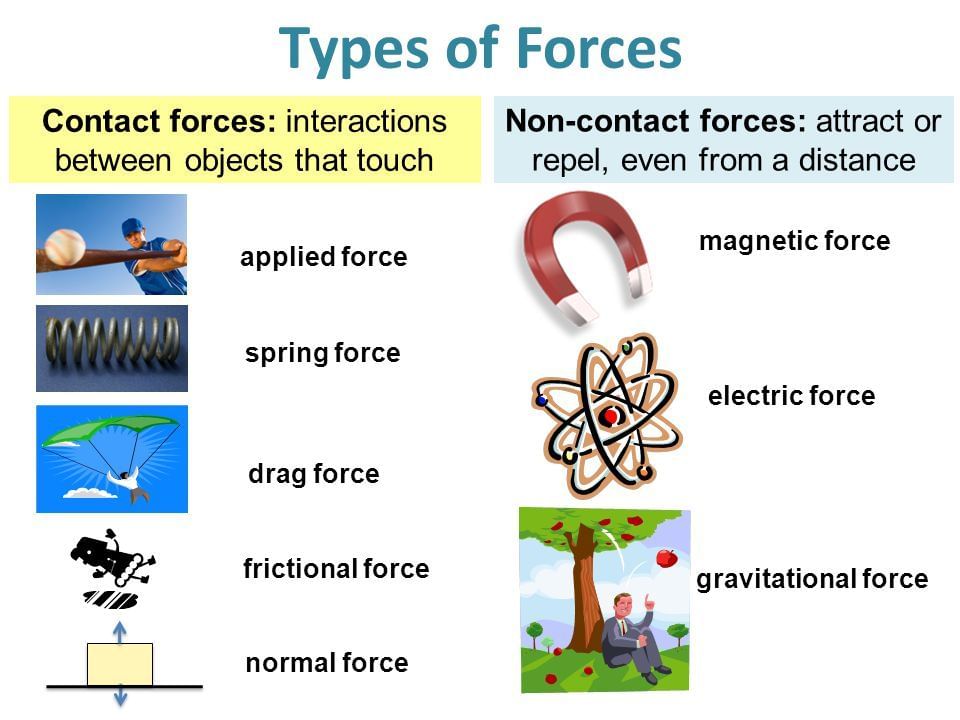 Laws of Motion Detailed Explanation | Physics Class 11 - NEET