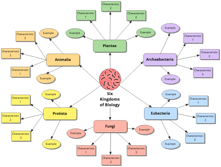 How to Use Mind Maps for Class 10?