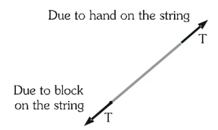 Laws of Motion Detailed Explanation | Physics Class 11 - NEET