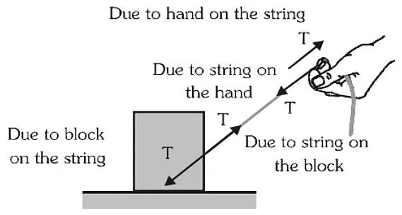 Laws of Motion Detailed Explanation | Physics Class 11 - NEET