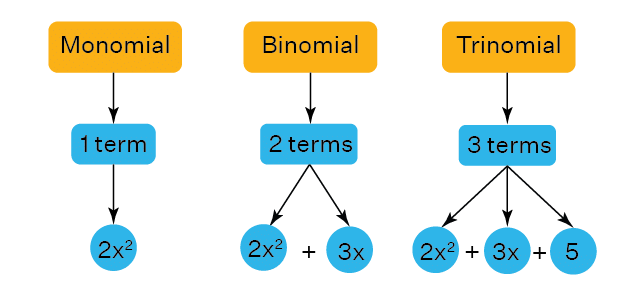 Types of algebraic Expression