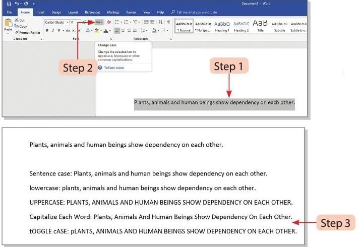 Formatting in Word 2016 Chapter Notes | Computer Studies Class 4 ICSE