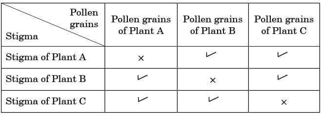 SA (II) – Short Answer Type II (3 Marks)
