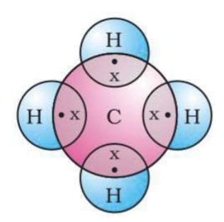 Cheat Sheet: Carbon and its Compounds | Preparation for EmSAT Grade 10