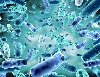 Class 8 Science - Question Answers Microorganisms Friend or Foe